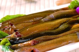 泥鳅什么季节吃最好,泥鳅什么季节吃最好吃 泥鳅什么季节吃最好,泥鳅什么季节吃最好吃