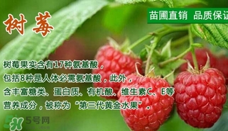 吃树莓的好处和坏处,女生吃树莓的好处