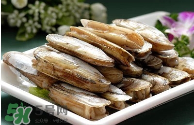 蛏子全部开口了是死是活,蛏子死了是什么样子