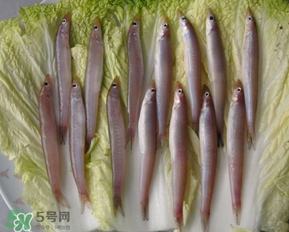 青岛面条鱼是什么鱼,青岛面条鱼的做法大全 青岛面条鱼是什么鱼,青岛面条鱼的做法大全