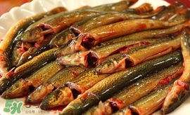 泥鳅的适用人群,泥鳅的禁忌人群