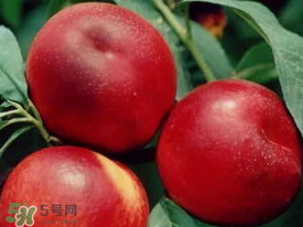 桃发黑还能吃吗,为什么桃里面发黑