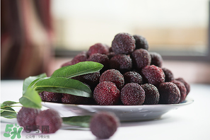 杨梅的品种有哪些,杨梅品种排名