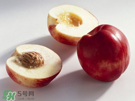 油桃什么时候上市,油桃几月份上市