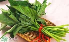 苕尖的做法大全,苕尖的做法大全家常