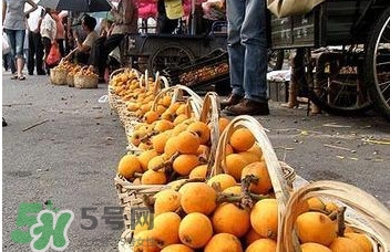 枇杷什么季节吃最好,枇杷适合什么季节种植 枇杷什么季节吃最好,枇杷适合什么季节种植