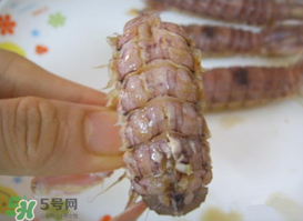 如何煮虾爬子,水煮虾爬子的做法步骤
