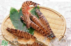 虾爬子如何剥壳,怎么剥虾爬子的壳