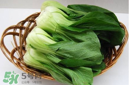 鸡毛菜无土栽培,水培鸡毛菜的种植方法 鸡毛菜无土栽培,水培鸡毛菜的种植方法