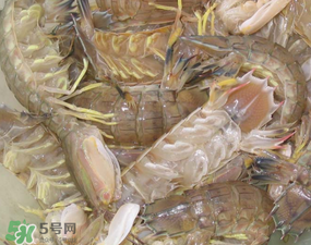 濑尿虾是什么意思,濑尿虾为什么叫濑尿虾