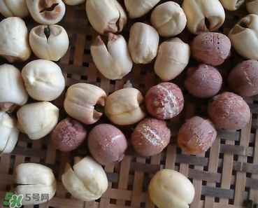 芡实的功效和作用的功能和主治,芡实的功效和作用 芡实的功效和作用的功能和主治,芡实的功效和作用