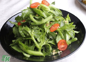 冰菜用什么沙拉酱拌,冰菜沙拉配什么沙拉酱 冰菜用什么沙拉酱拌,冰菜沙拉配什么沙拉酱