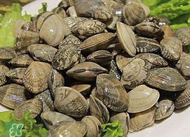 吃蚬子不能吃什么部位,咳嗽可以吃蚬子吗