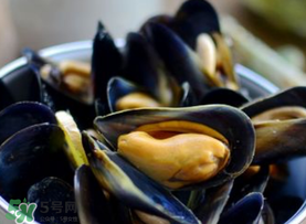 海虹中间那个黑的是什么,海虹肉里面的黑东西是什么