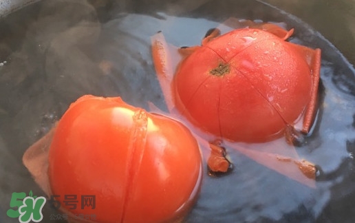 如何给番茄去皮,去番茄皮的方法
