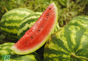 吃完海鲜能吃西瓜吗?,吃完海鲜能吃西瓜吗能吃甜瓜吗