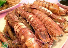 虾爬子公母区别图片,虾爬子公母区别