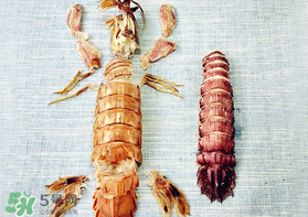 虾爬子黄能吃吗,虾爬子什么时候有黄