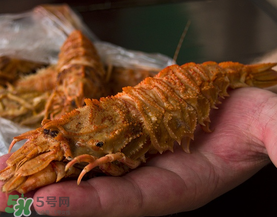 虾爬子属于什么类,虾爬子属于虾类吗 虾爬子属于什么类,虾爬子属于虾类吗