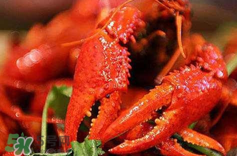 小孩吃虾子有什么营养价值,虾子有什么营养价值