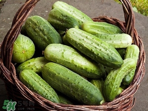 黄瓜的功效和作用减肥,黄瓜的功效和作用及副作用