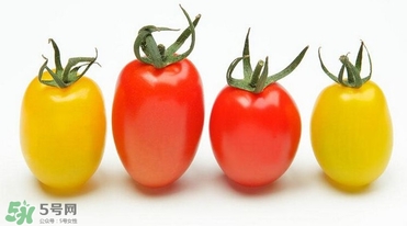 圣女果有什么功效和作用,圣女果的功效和作用圣女果吃多了好吗