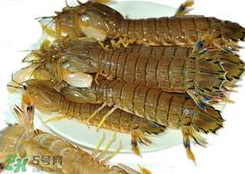 虾爬子怎么冷冻保存新鲜,虾爬子怎么冷冻保存