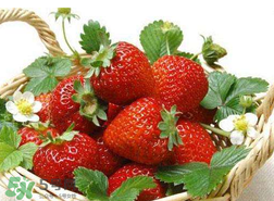 吃完虾爬子能吃草莓吗,吃完虾子可以吃草莓吗