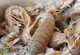 虾爬子怎么吃图解,虾爬子怎么吃最方便