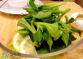 冰草酱汁的调制方式,冰草酱汁怎么调