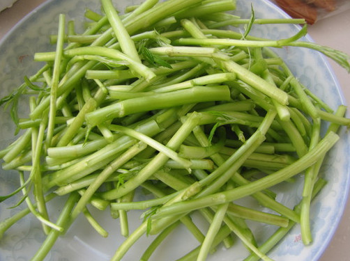 什么是发物的食物有哪些,什么是发物