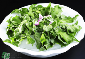 冰草的食用方法,冰草的食用方法是什么