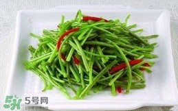 芦蒿怎么做好吃法大全,芦蒿怎么做好吃怎么炒好吃 芦蒿怎么做好吃法大全,芦蒿怎么做好吃怎么炒好吃