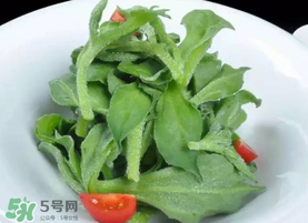 冰草的营养价值和功效,冰草的营养价值