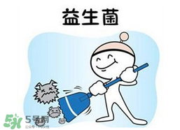 益生菌哪个牌子好成人吃,益生菌哪个牌子好又经济实惠