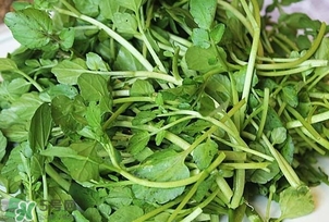 西洋菜是凉性的吗,西洋菜是寒性还是温性 西洋菜是凉性的吗,西洋菜是寒性还是温性