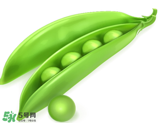 荷兰豆怎么做最好,怎样做荷兰豆