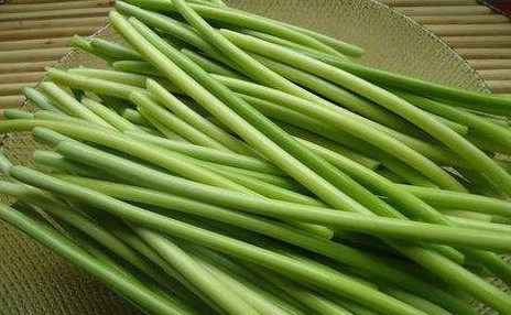 摘蒜苔的方法,蒜苔机械采收 摘蒜苔的方法,蒜苔机械采收