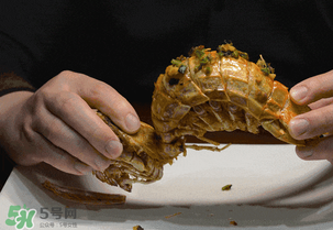 吃皮皮虾的禁忌,吃皮皮虾技巧 吃皮皮虾的禁忌,吃皮皮虾技巧