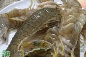 皮皮虾怎么放冰箱保存,皮皮虾可以放冰箱保鲜吗