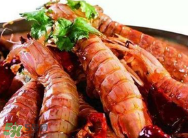 1月的皮皮虾肥不肥,皮皮虾现在肥吗 1月的皮皮虾肥不肥,皮皮虾现在肥吗