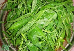 苋菜怎么炒好吃,怎样炒茼蒿菜家常炒