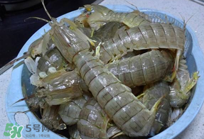 皮皮虾活的怎么清洗,活皮皮虾怎么洗干净 皮皮虾活的怎么清洗,活皮皮虾怎么洗干净