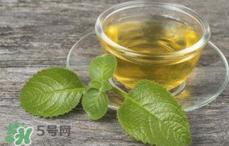 薄荷叶泡水的功效和作用及禁忌,薄荷叶泡水的功效和作用
