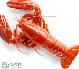 龙虾的保存方法,龙虾保鲜储存方法