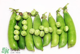 豌豆能隔夜吃吗,豌豆荚可以隔夜吃吗