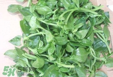 养心菜什么人不能吃,养心菜好吃吗 养心菜什么人不能吃,养心菜好吃吗