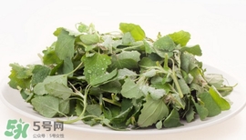 灰菜怎么做好吃啊,灰菜怎么做的 灰菜怎么做好吃啊,灰菜怎么做的