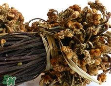 干蕨菜炖肉的做法大全,干蕨菜烧肉的做法 干蕨菜炖肉的做法大全,干蕨菜烧肉的做法