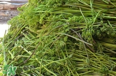 干蕨菜炖肉的做法大全,干蕨菜炖肉